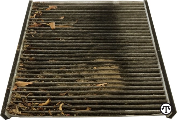 A dirty filter in your car can make for a more expensive, less comfortable ride.