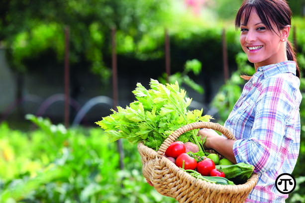 By following USDA’s six easy tips, you can help protect your plants, trees and crops from invasive pests.