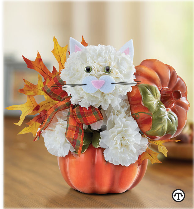 Fabulous Feline™ for Fall