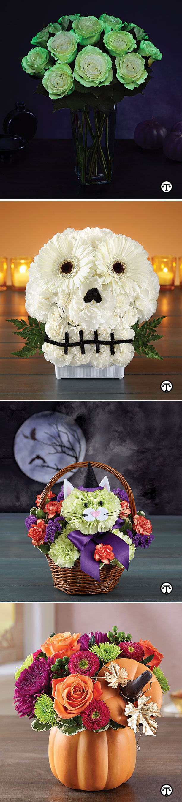 Glow in the Dark white roses can cast a spell on your Halloween visitors. Show you have a head for Halloween with this Spooky Skull Flower Arrangement. You’ll be barking up the right tree when you present a Witchy Pooch or Purrfect Potions Fabulous Feline floral arrangement. The Pumpkin Petals arrangement makes an appealing hostess gift. 