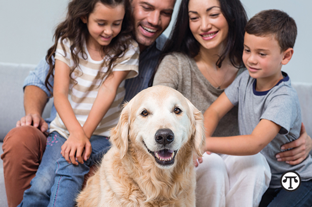 A therapy dog can make life easier for children with cancer and their families.